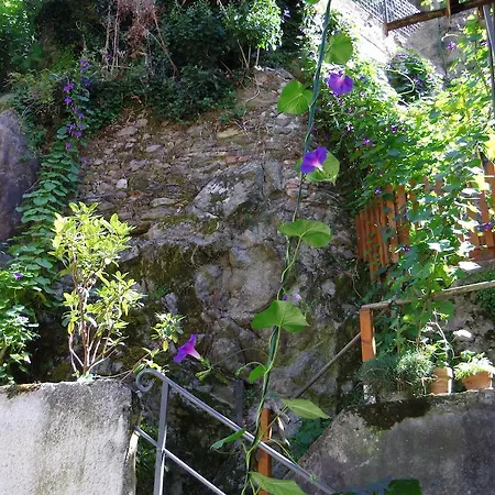 Le Liseron Bleu Appartement Vienne (Isere)