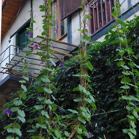 Apartment Le Liseron Bleu Vienne (Isere)